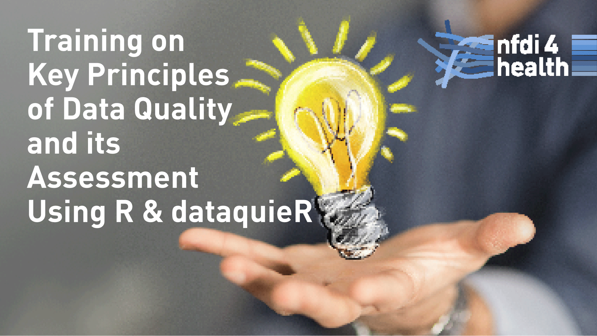 Training on Key Principles of Data Quality and its Assessment Using R and dataquieR